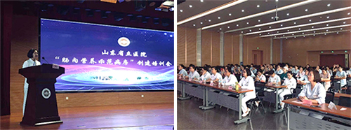 图片8.jpg