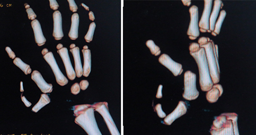 图片17.jpg 图片17.jpg