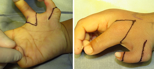 图片19.jpg 图片19.jpg