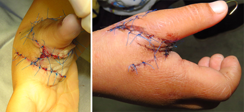 图片21.jpg 图片21.jpg