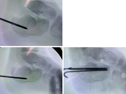 图片4.jpg 图片4.jpg