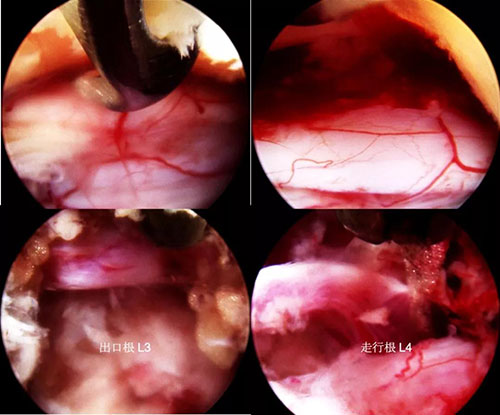 微信图片_20191101094127.jpg 微信图片_20191101094127.jpg