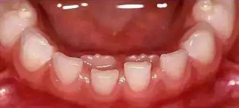 图片1.jpg 图片1.jpg