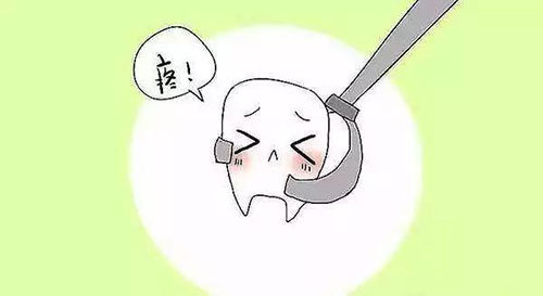 图片3.jpg 图片3.jpg