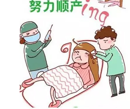 图片5.jpg 图片5.jpg