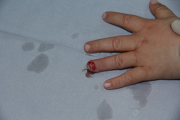 图片4.jpg 图片4.jpg