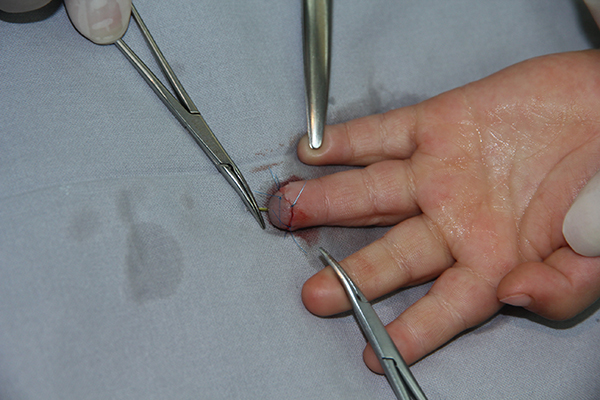 图片6.jpg 图片6.jpg