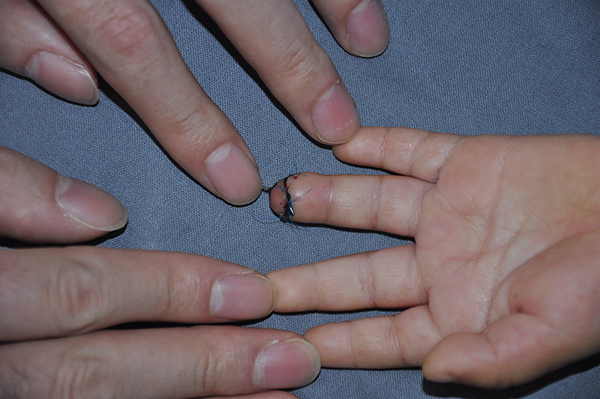 图片7.jpg 图片7.jpg