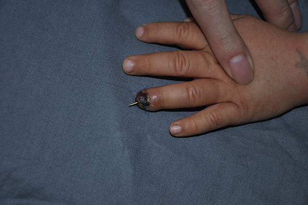 图片8.jpg 图片8.jpg