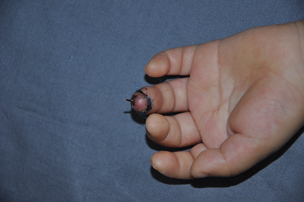 图片10.jpg 图片10.jpg