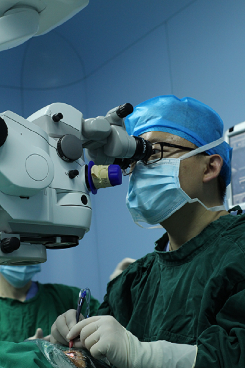 图片27.png 图片27.png