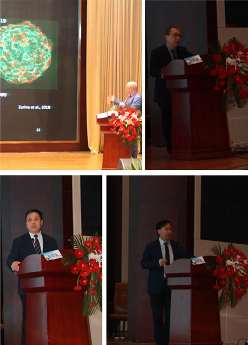 微信图片_20200102101633.jpg 微信图片_20200102101633.jpg