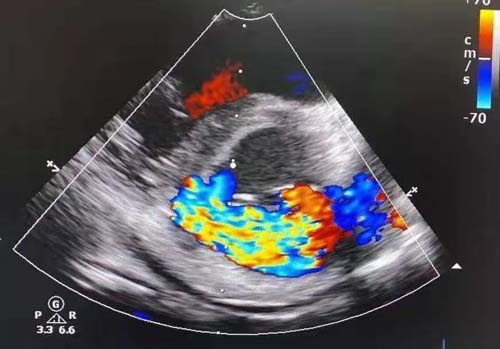 微信图片_20200109080109.jpg 微信图片_20200109080109.jpg