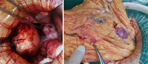 图片5.jpg 图片5.jpg