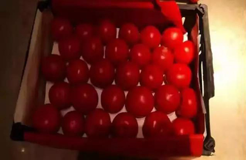 微信图片_20200210100133.jpg 微信图片_20200210100133.jpg