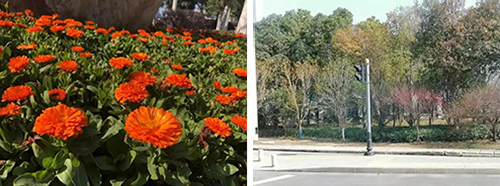 微信图片_20200213091652.jpg 微信图片_20200213091652.jpg