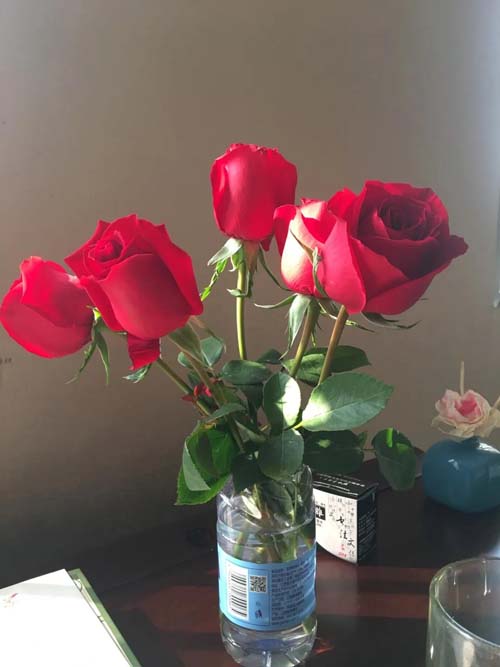 微信图片_20200228092824.jpg 微信图片_20200228092824.jpg