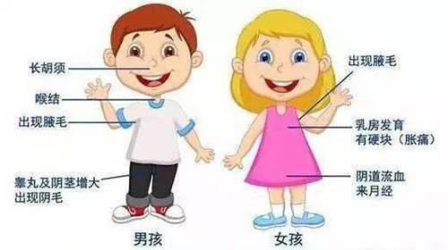 图片10.jpg
