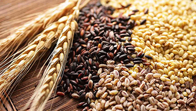 图片2.jpg 图片2.jpg