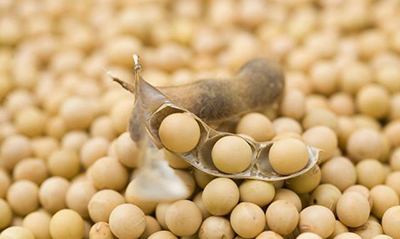 图片3.jpg 图片3.jpg