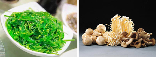 图片4.jpg 图片4.jpg