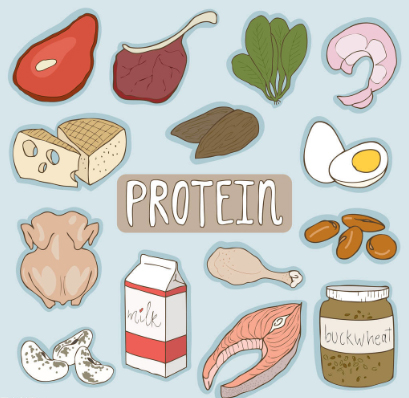 图片4.jpg 图片4.jpg