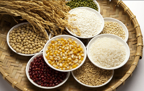 图片5.jpg 图片5.jpg