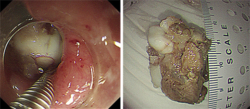 微信图片_20200610090235.jpg 微信图片_20200610090235.jpg