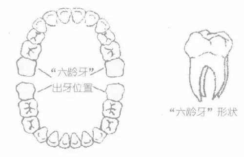 图片13.jpg 图片13.jpg