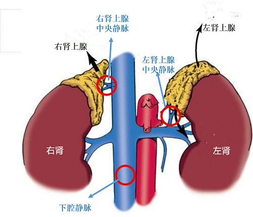 微信图片_20200715085018.jpg