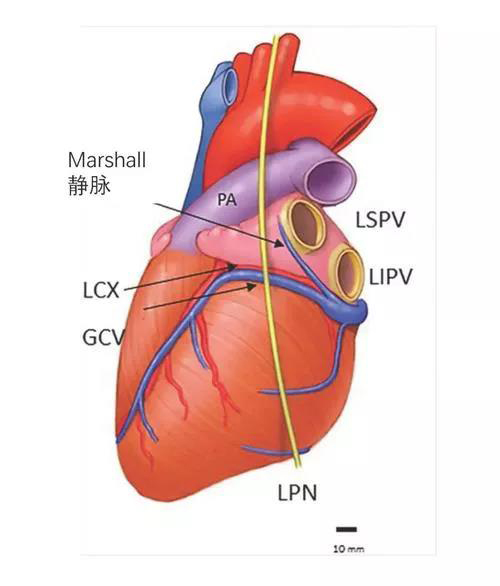 微信图片_20200907084902.jpg 微信图片_20200907084902.jpg