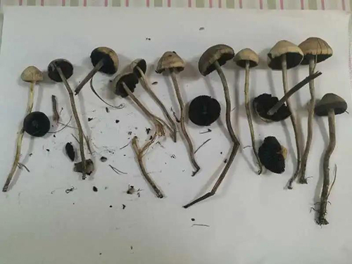 微信图片_20201019091216.jpg 微信图片_20201019091216.jpg