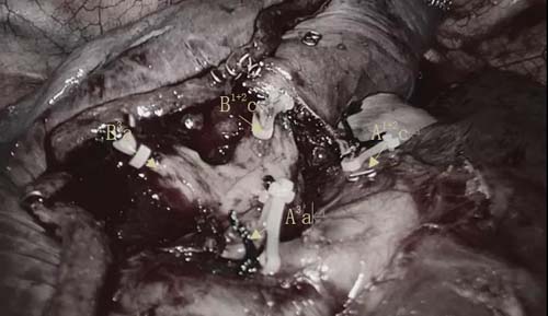 微信图片_20210528085853.jpg 微信图片_20210528085853.jpg