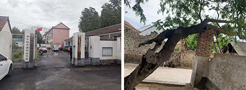 图片3.jpg 图片3.jpg