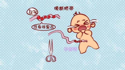 图片23.jpg 图片23.jpg