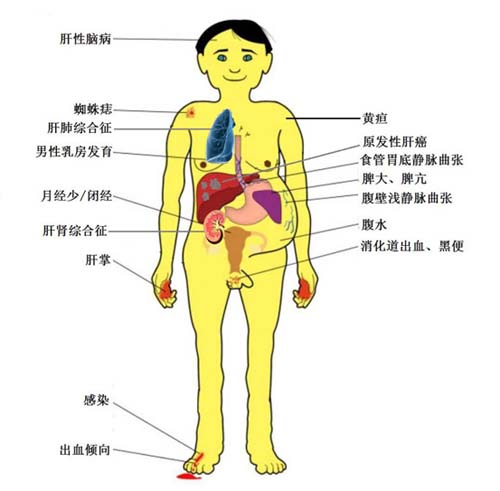 图片50.jpg