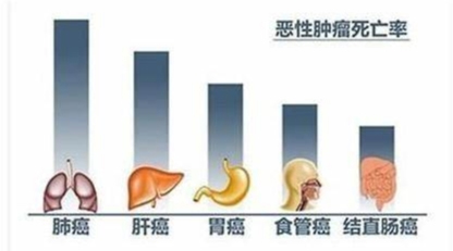 图片84.jpg
