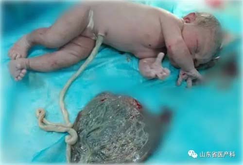 图片6.jpg 图片6.jpg