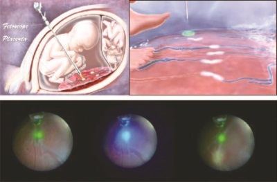 图片13.jpg 图片13.jpg