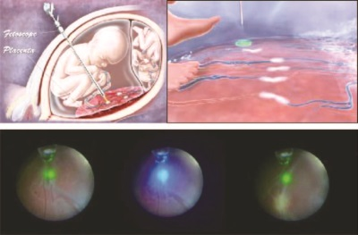 图片15.png 图片15.png