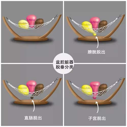 微信图片_20210811091926.jpg 微信图片_20210811091926.jpg