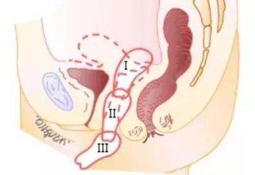 微信图片_20210811091925.jpg 微信图片_20210811091925.jpg