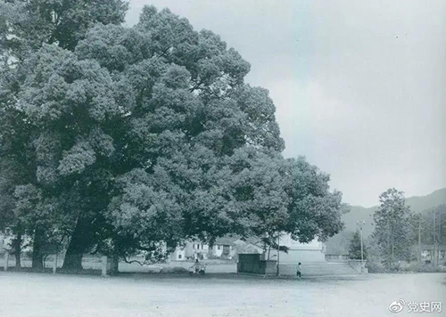 微信图片_20210930085134.jpg 微信图片_20210930085134.jpg