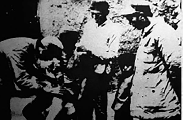 图片 186.jpg 图片 186.jpg