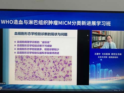 天然牛黄进口试点开闸