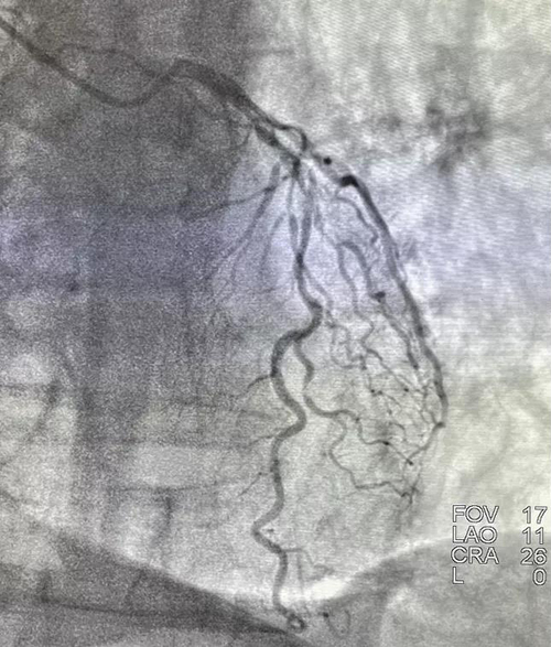 微信图片_20220109171356.jpg 微信图片_20220109171356.jpg