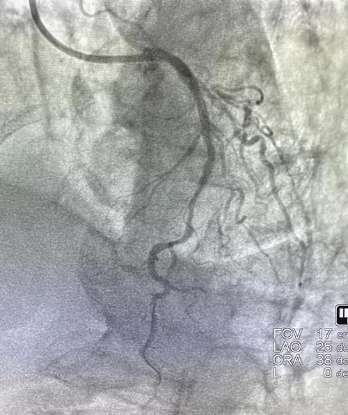 微信图片_20220109171358.jpg 微信图片_20220109171358.jpg