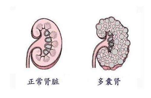 微信图片_20220406084445.jpg