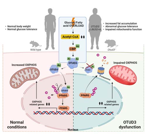 微信图片_20220610084302.jpg 微信图片_20220610084302.jpg