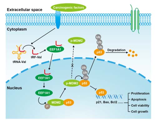 微信图片_20220628084341.jpg 微信图片_20220628084341.jpg